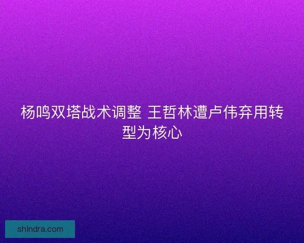 杨鸣双塔战术调整 王哲林遭卢伟弃用转型为核心