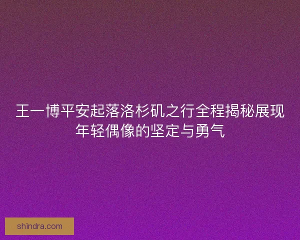 王一博平安起落洛杉矶之行全程揭秘展现年轻偶像的坚定与勇气
