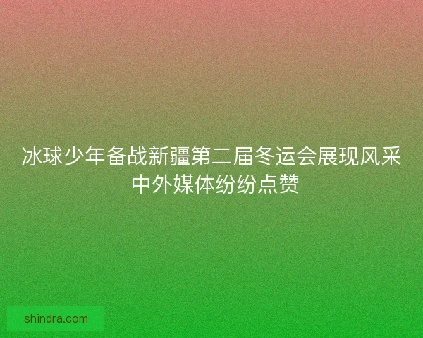 冰球少年备战新疆第二届冬运会展现风采 中外媒体纷纷点赞